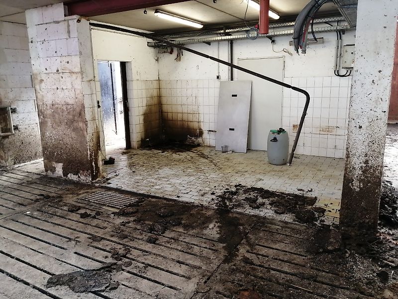 Lely Die Verladung fand am 27.8.2021 statt!!!!!!!! 2Lely(linke) Astronatuat A4 Melkroboter Bj 2016 in Topzustand mit 140 Halsbändern und umfangreichem Zubehör in Topzustand sofort verfügbar