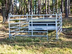 MD Kellfri Kälberbox 3m