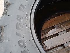 Trelleborg TM 900