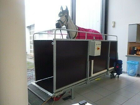 Pferdelaufband Horsetrainer Laufband