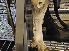 DeLaval Leitblech für V300/VMS Classic