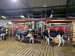 Lely 2x A5