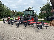 Saphir Grünlandstriegel