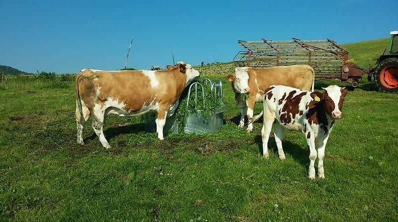 Agromet Futterraufe f. Rinder u. Pferde Rund verzinkt M11/9