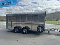 Ifor Williams Viehanhänger - 3,5t - 423x178x182 cm