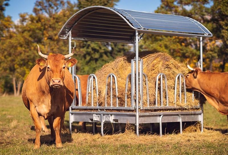 Top-Agro Weide für Vieh und Pferde ab 8 bis 16 Stellen M4 verzinkt RFR-P