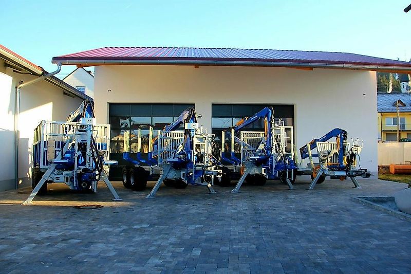 Binderberger Holzspalter GI 33 Z, Liegendspalter, Spalter