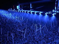 DĂĽsenbeleuchtung LED Blau