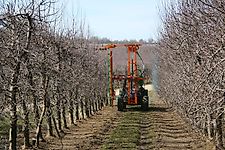 COUPECO COSMOS ; KMS ; COSMOS 350 ;