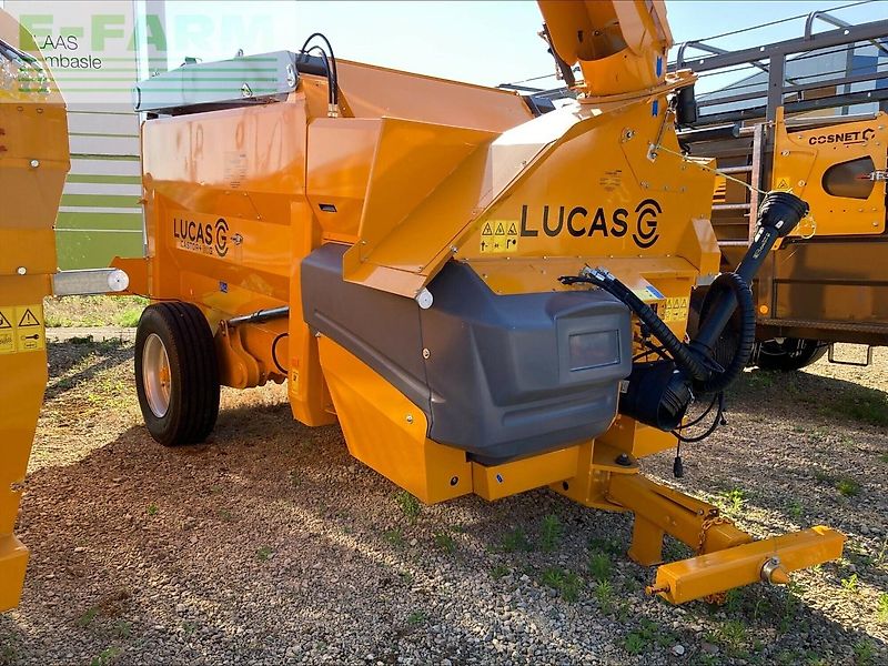 Lucas castor 60+g