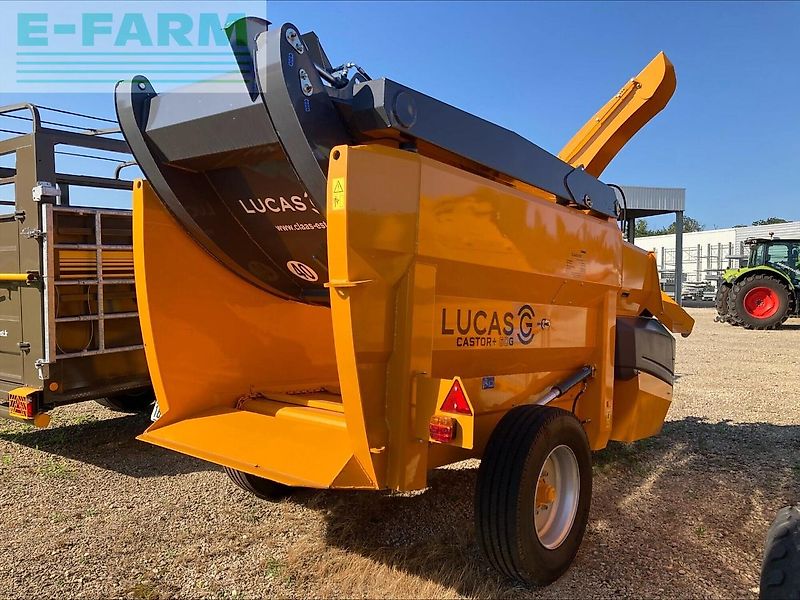 Lucas castor 60+g
