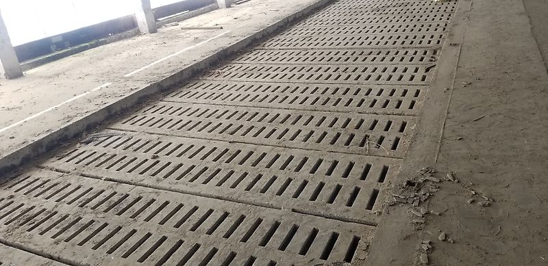 170 Betonspalten, Rinderspalten, Spaltenboden  80 cm x 300 cm aus Umbau L 203, neuwertiger Zustand