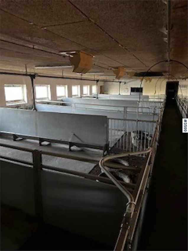 WEDG Grisehus innredning