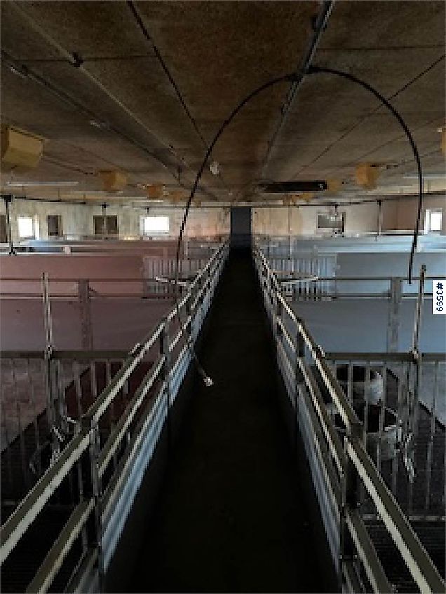 WEDG Grisehus innredning