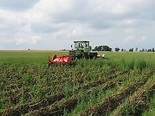 AKPIL KS 1500 ; KS 75-2 ; 2reihig; GRIMME