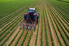 HAK HAVELAAR; EX 75 ; für 4 Gemüse-, Kartoffeldaemme ,  Dammhackmaschine , 4 reihig , VERSTELLBAR ( mit Zusatzoptionen)