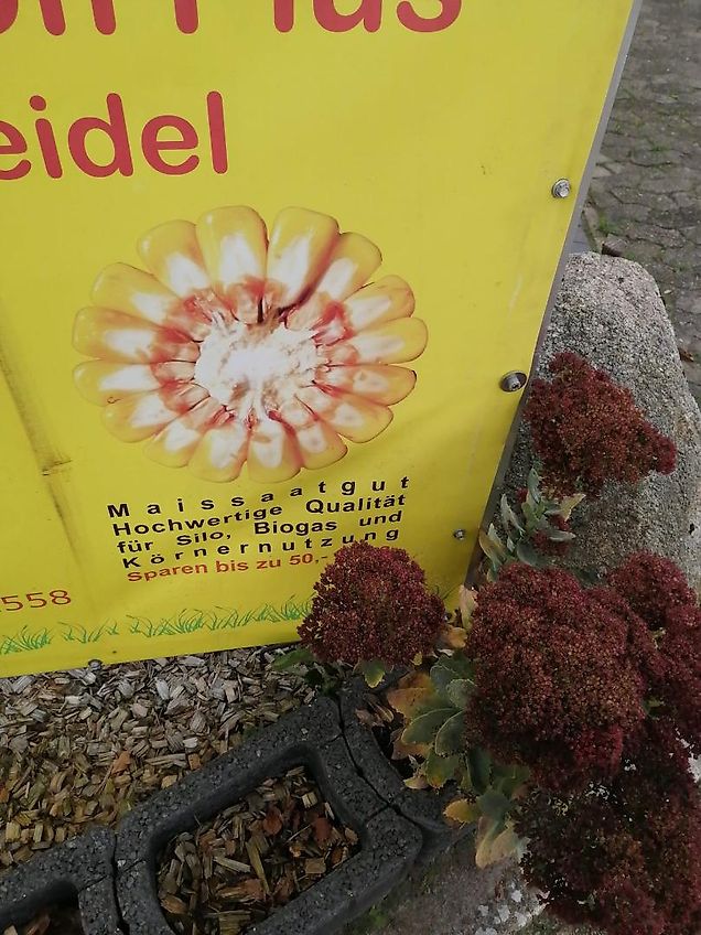 Wopa Wopa Wopa Klauenpflegestand mit Frontaustrieb L+R Satz Knickhecken Hilfsachse zum Rangieren im Stall Voderfussstützen mit Handwine Artikel Nr Wopa SA0022