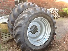 Alliance Case Maxxum