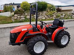 Carraro TIGRE 3800 Schlepper Traktor Pasquali