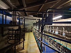 GEA Steile Fischgräte 2x9