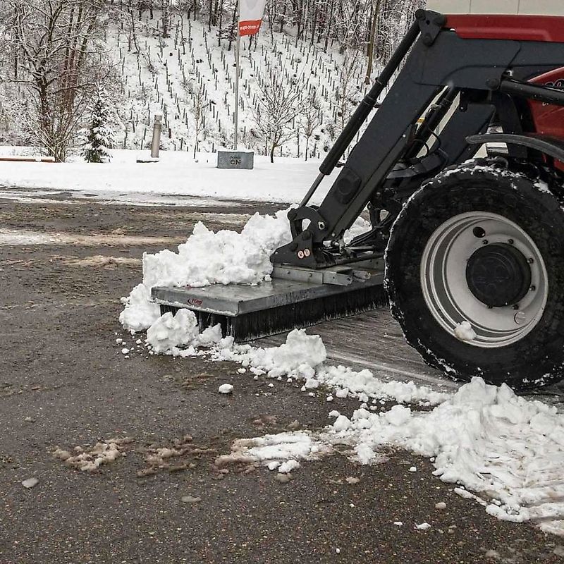 Fliegl Lion Sweeper 3000