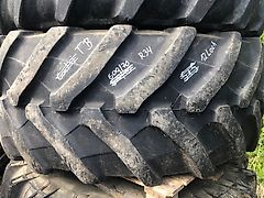 Trelleborg TM